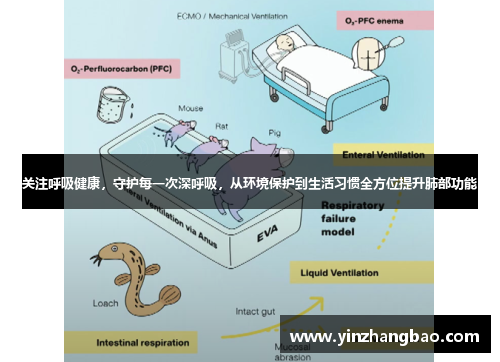 关注呼吸健康，守护每一次深呼吸，从环境保护到生活习惯全方位提升肺部功能