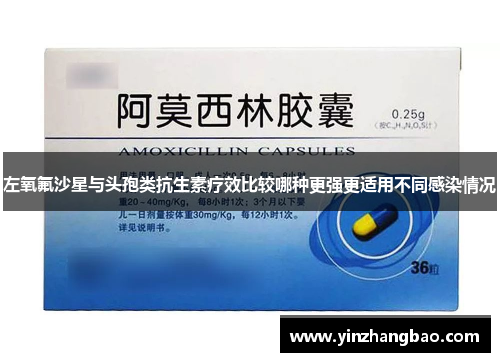 左氧氟沙星与头孢类抗生素疗效比较哪种更强更适用不同感染情况