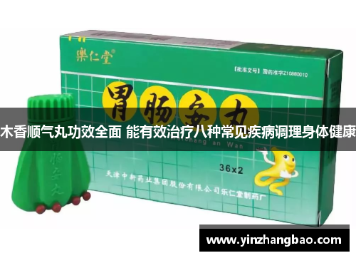 木香顺气丸功效全面 能有效治疗八种常见疾病调理身体健康