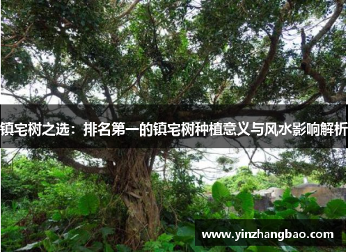 镇宅树之选：排名第一的镇宅树种植意义与风水影响解析